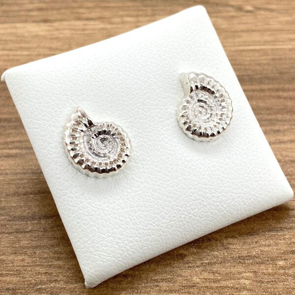 Silver ammonite shell stud earrings.