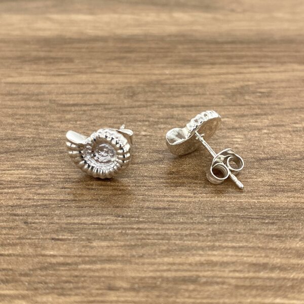 Silver ammonite stud earrings.